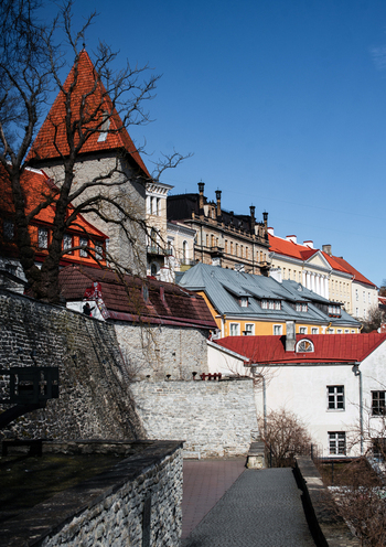 Tallinn Estonia 08 April 2026 View of Vanalinn old town featuring historic stone walls red tiled rooftops and a defensive tower under a clear blue sky. Tallinn Estonia 08 April 2026 View of Vanalinn old town featuring historic stone walls red tiled rooftops and a defensive tower under a clear blue sky.