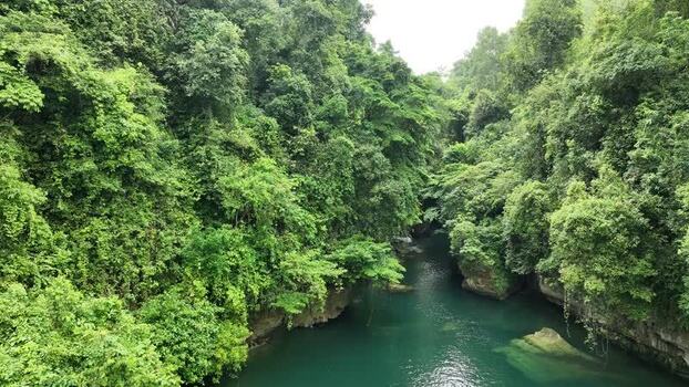 Aerial view of a lush river canyon in Pangandaran Regency Indonesia. Aerial view of a lush river canyon in Pangandaran Regency Indonesia.