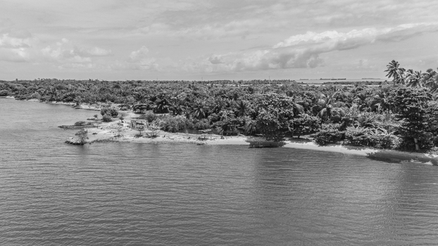 Aerial view of the lush tropical coastline with dense palm trees and a calm water surface in monochrome Badagry Lagos Nigeria.