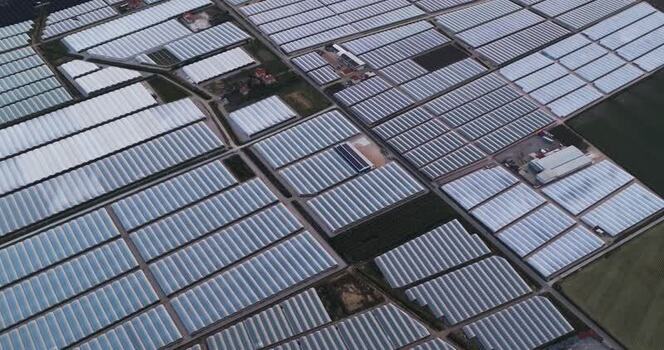 Aerial view of vast greenhouses and agricultural polytunnels Italy.