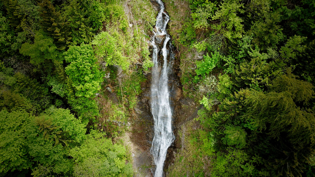 Aerial view of a narrow waterfall cascading down a rocky cliff surrounded by dense green forest and lush trees in Champery Valais Switzerland. Aerial view of a narrow waterfall cascading down a rocky cliff surrounded by dense green forest and lush trees in Champery Valais Switzerland.
