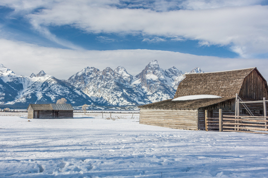 View of historic wooden barns in a snowy field at Jackson Hole with the Teton Range mountains in the background in Teton County Wyoming United States.