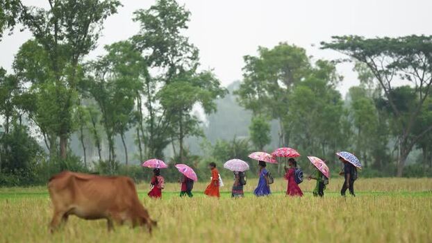 View of children with umbrellas walking in a field Bangladesh.