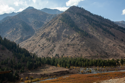 View of Astore Valley featuring rugged mountain slopes dense coniferous forests and a winding riverbed under a clear blue sky in Astore Gilgit Pakistan. View of Astore Valley featuring rugged mountain slopes dense coniferous forests and a winding riverbed under a clear blue sky in Astore Gilgit Pakistan.