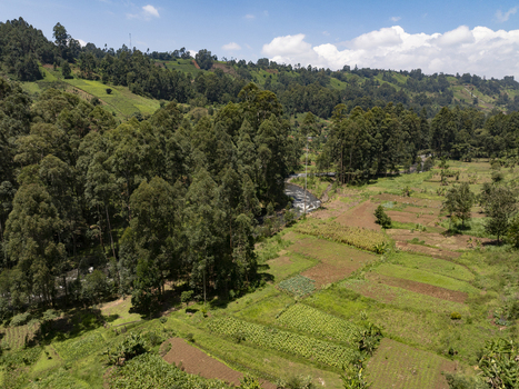 Aerial view of a lush landscape where verdant hills meet cultivated fields bisected by a shimmering river under a bright sky Nyeri Nyeri Kenya. Aerial view of a lush landscape where verdant hills meet cultivated fields bisected by a shimmering river under a bright sky Nyeri Nyeri Kenya.