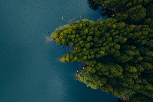 Aerial view of the lush green forest surrounding the deep blue waters of Caldeira Funda in Lajes das Flores Azores Portugal. Aerial view of the lush green forest surrounding the deep blue waters of Caldeira Funda in Lajes das Flores Azores Portugal.