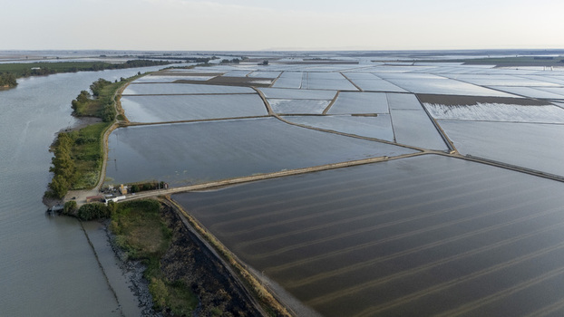Aerial view of the flooded rice fields of Isla Minima along the Guadalquivir river with dirt tracks and green vegetation Sevilla Andalucia Spain. Aerial view of the flooded rice fields of Isla Minima along the Guadalquivir river with dirt tracks and green vegetation Sevilla Andalucia Spain.