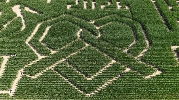Aerial view of heart shaped corn maze at Labyrinthis France.