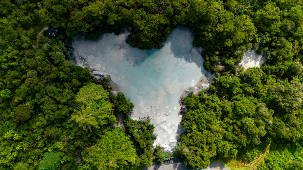 Aerial view of a heart shaped pool of pale turquoise water nestled amongst dense green foliage a serene oasis in Waiotapu Waikato Region New Zealand. Aerial view of a heart shaped pool of pale turquoise water nestled amongst dense green foliage a serene oasis in Waiotapu Waikato Region New Zealand.