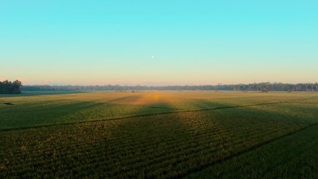 Aerial view of lush rice paddies in Kutoarjo Indonesia. Aerial view of lush rice paddies in Kutoarjo Indonesia.