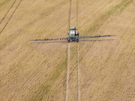 Aerial view of a green tractor with a wide spray boom working in a golden wheat field with visible tire tracks in Philadelphia Western Cape South Africa. Aerial view of a green tractor with a wide spray boom working in a golden wheat field with visible tire tracks in Philadelphia Western Cape South Africa.