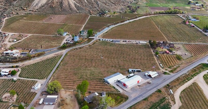 Aerial view of sun drenched vineyards stretch across the landscape bisected by a winding river near the majestic mountains Palisade Colorado USA. Aerial view of sun drenched vineyards stretch across the landscape bisected by a winding river near the majestic mountains Palisade Colorado USA.