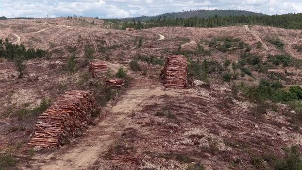 Aerial view of deforested hills and timber stacks Portugal. Aerial view of deforested hills and timber stacks Portugal.