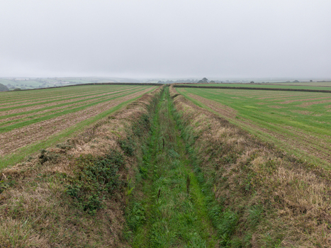 Aerial view of misty rural countryside with agricultural farmland and a narrow country path under a foggy sky in Looe Cornwall United Kingdom. Aerial view of misty rural countryside with agricultural farmland and a narrow country path under a foggy sky in Looe Cornwall United Kingdom.