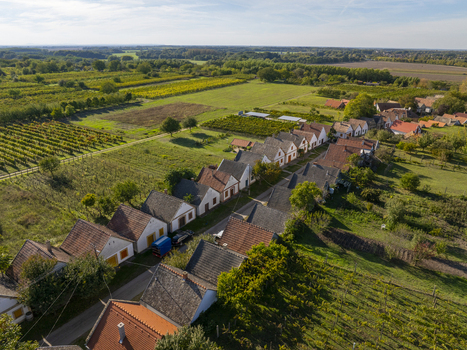 Aerial view of the Hajos pincefalu wine cellar village featuring rows of traditional white wine cellars with tiled roofs nestled among lush vineyards in Hajos Hungary. Aerial view of the Hajos pincefalu wine cellar village featuring rows of traditional white wine cellars with tiled roofs nestled among lush vineyards in Hajos Hungary.