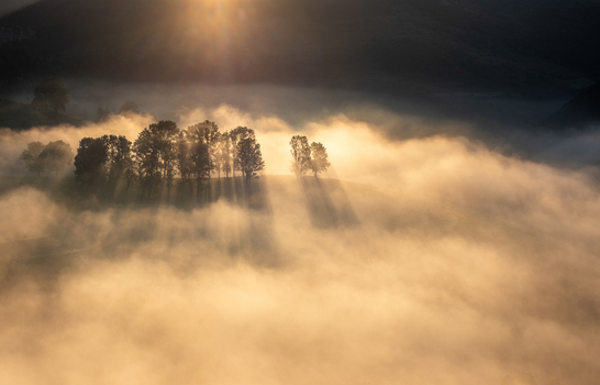 View of trees emerging from a thick layer of morning fog with golden sunlight creating light rays in the landscape of Alba Iulia Alba County Romania. View of trees emerging from a thick layer of morning fog with golden sunlight creating light rays in the landscape of Alba Iulia Alba County Romania.