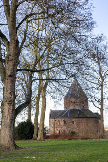 View of Sint Nicolaaskapel surrounded by tall bare trees and green grass under a clear sky in Nijmegen Gelderland Netherlands.