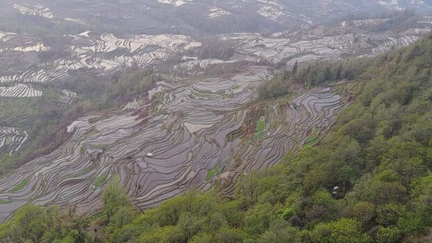 Aerial view of rice terraces in Yuanyang China.