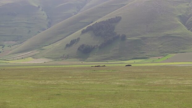 Aerial view of the rolling hills of Castelluccio Italy.
