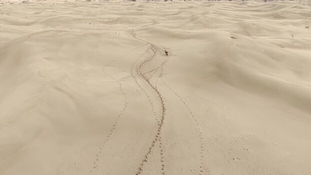 Aerial view of vast sand dunes with winding tracks in the desert Kazakhstan. Aerial view of vast sand dunes with winding tracks in the desert Kazakhstan.