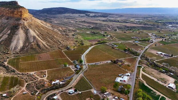 Aerial view of vineyards stretching towards the majestic Book Cliffs under a vast sky a tapestry of greens and browns Palisade Colorado USA. Aerial view of vineyards stretching towards the majestic Book Cliffs under a vast sky a tapestry of greens and browns Palisade Colorado USA.