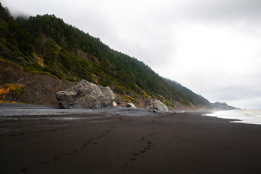 View of the rugged black sand beach at the Lost Coast featuring massive boulders and steep evergreen forested hills under an overcast sky in Humboldt County California United States.