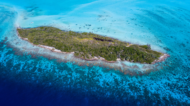 Aerial view of Los Roques archipelago featuring a lush green island surrounded by vibrant turquoise coral reefs and deep blue sea in Los Roques Dependencias Federales Venezuela. Aerial view of Los Roques archipelago featuring a lush green island surrounded by vibrant turquoise coral reefs and deep blue sea in Los Roques Dependencias Federales Venezuela.