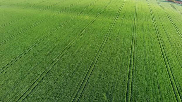 Aerial view of green field in South Moravian Region Czechia.