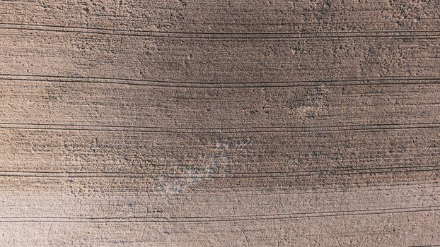 Aerial view of a golden wheat field with visible tractor tracks and textures in Czechia. Aerial view of a golden wheat field with visible tractor tracks and textures in Czechia.