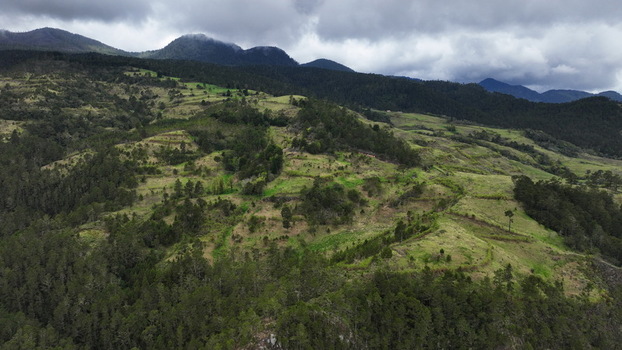 Aerial view of the mountainous landscape near Carretera al Salto de Aguas Blancas featuring rolling green hills pine forests and terraced fields in Constanza La Vega Dominican Republic. Aerial view of the mountainous landscape near Carretera al Salto de Aguas Blancas featuring rolling green hills pine forests and terraced fields in Constanza La Vega Dominican Republic.