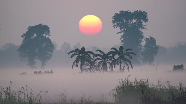 View of a large sun rising over misty trees in Bogura Bangladesh.