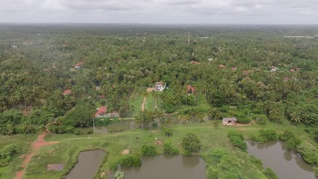 Aerial view of lush green landscape in Colombo Sri Lanka.