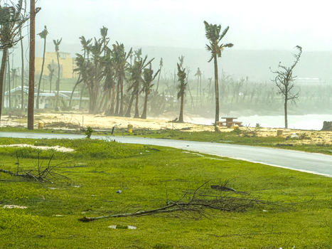 San Jose Tinian Northern Mariana Islands 06 July 2026 View of Super Typhoon Bavi battering Tinian Island with palm trees bent by strong winds and scattered debris. San Jose Tinian Northern Mariana Islands 06 July 2026 View of Super Typhoon Bavi battering Tinian Island with palm trees bent by strong winds and scattered debris.