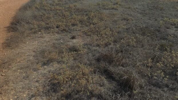 Aerial view of dry arid landscape in Nicosia Cyprus.
