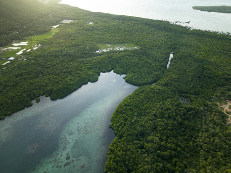 Aerial view of the tranquil Karimunjawa Mangrove Forest where emerald trees meet the turquoise waters creating a stunning contrast Karimunjawa Central Java Indonesia.