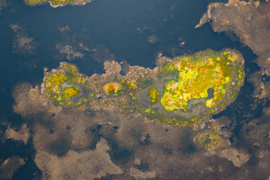 Aerial view of Caldeira Branca featuring vibrant green and yellow vegetation islands floating on dark blue water surrounded by rugged terrain in Faja Grande Azores Portugal. Aerial view of Caldeira Branca featuring vibrant green and yellow vegetation islands floating on dark blue water surrounded by rugged terrain in Faja Grande Azores Portugal.