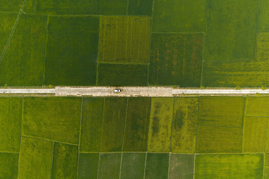 Aerial view of a single car driving along a narrow road that cuts through vibrant green rice paddies near Lak Lake in Lien Son Lak Dak Lak Vietnam. Aerial view of a single car driving along a narrow road that cuts through vibrant green rice paddies near Lak Lake in Lien Son Lak Dak Lak Vietnam.