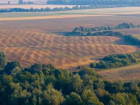 Aerial view of rolling agricultural fields with golden harvest patterns and lush green forests in Taujenai Vilnius County Lithuania.
