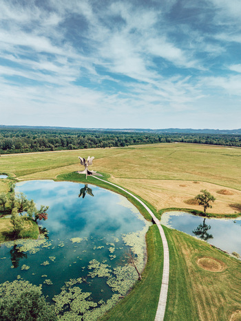 Aerial view of the Stone Flower monument at the Jasenovac Memorial Site reflecting in a pond surrounded by green fields and a forest in Jasenovac Sisacko moslavacka Croatia.