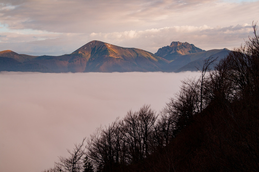 Aerial view of Stoh and Velky Rozsutec peaks in Mala Fatra rising above a thick sea of clouds with bare trees in the foreground under a soft sunset sky in Terchova Zilina Region Slovakia. Aerial view of Stoh and Velky Rozsutec peaks in Mala Fatra rising above a thick sea of clouds with bare trees in the foreground under a soft sunset sky in Terchova Zilina Region Slovakia.