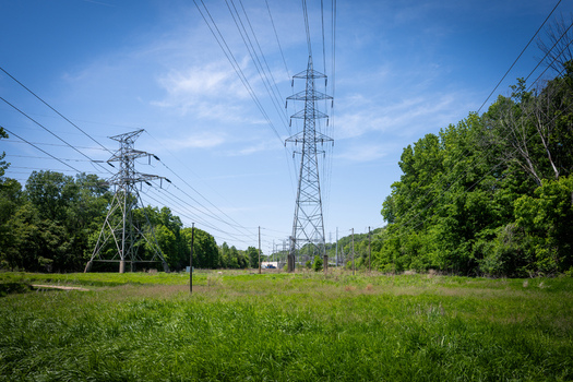 View of Greentree Park featuring high voltage power lines and transmission towers surrounded by lush green trees under a bright blue sky in Kirkwood Missouri United States. View of Greentree Park featuring high voltage power lines and transmission towers surrounded by lush green trees under a bright blue sky in Kirkwood Missouri United States.
