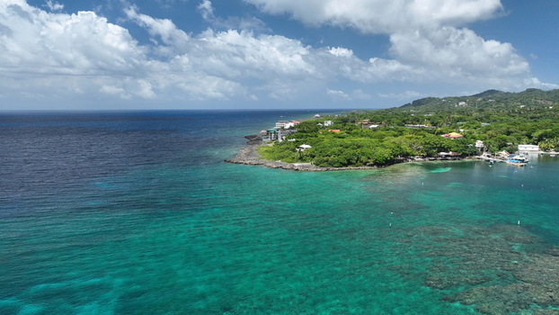 Aerial view of the coastline featuring vibrant turquoise waters coral reefs and lush green tropical vegetation in West End Bay Islands Department Honduras.