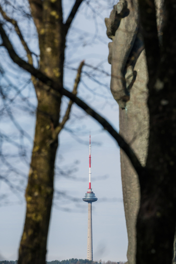 View of the Vilnius TV Tower framed by tree trunks and a stone sculpture under a clear sky in Vilnius Vilnius County Lithuania. View of the Vilnius TV Tower framed by tree trunks and a stone sculpture under a clear sky in Vilnius Vilnius County Lithuania.