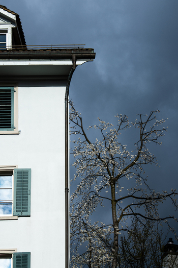 Zurich Switzerland 02 April 2023 View of a stark white building with green shutters stands in sharp contrast against a menacing dark sky punctuated by the delicate white blossoms of a tree. Zurich Switzerland 02 April 2023 View of a stark white building with green shutters stands in sharp contrast against a menacing dark sky punctuated by the delicate white blossoms of a tree.