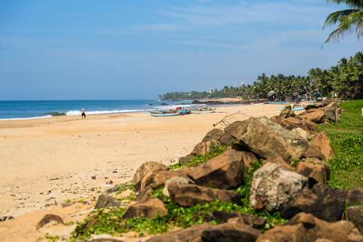 View of a sandy tropical beach with traditional fishing boats large rocks in the foreground and palm trees under a clear blue sky in Galle Southern Province Sri Lanka.