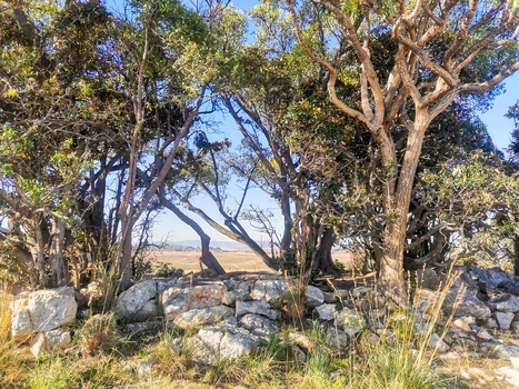 View of a stone wall bordering a grove of trees with a distant landscape under a clear blue sky in eManzana Mpumalanga South Africa. View of a stone wall bordering a grove of trees with a distant landscape under a clear blue sky in eManzana Mpumalanga South Africa.