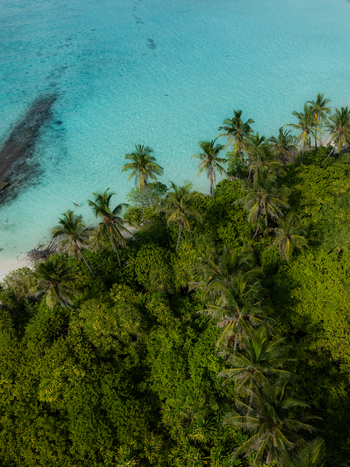 Aerial view of vivid green island foliage meeting the bright turquoise ocean and a dark rocky reef Thuraakunu Thiladhunmathee Uthuruburi Maldives. Aerial view of vivid green island foliage meeting the bright turquoise ocean and a dark rocky reef Thuraakunu Thiladhunmathee Uthuruburi Maldives.