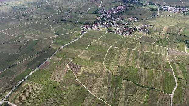 Aerial view of vineyards and Ribeauville town France. Aerial view of vineyards and Ribeauville town France.