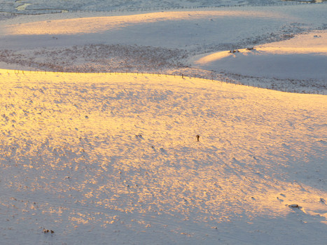 Aerial view of a solitary figure trekking across a vast expanse of snow covered landscape bathed in the warm glow of the setting sun Nasbinals Occitanie France.