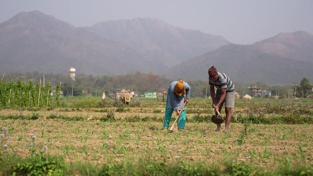 View of farmers working in a field with mountains in Nepal.